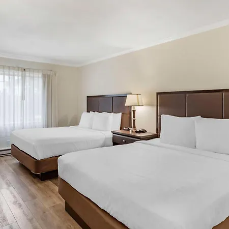 Best Western Carmel'S Town House Lodge-2